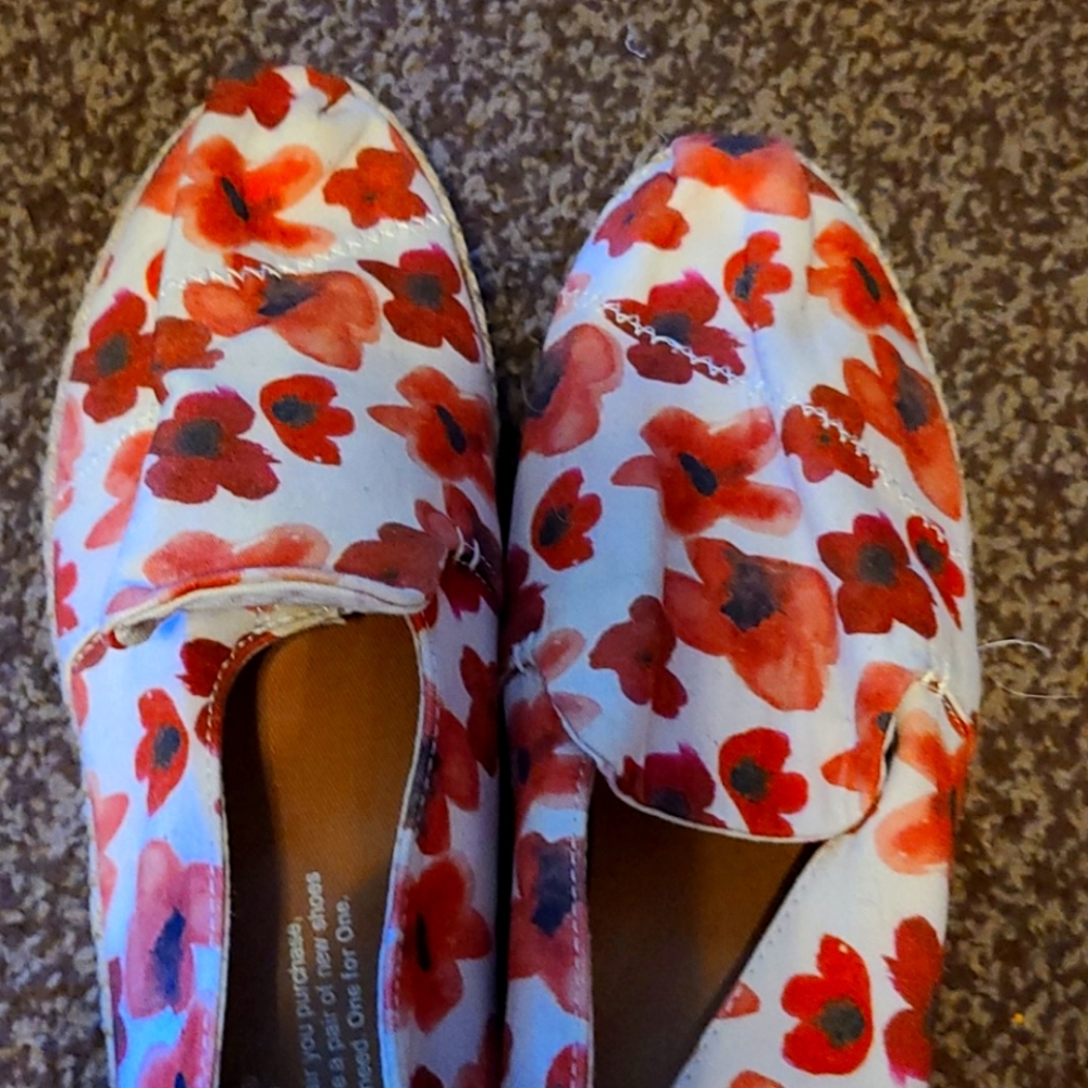 TOMS